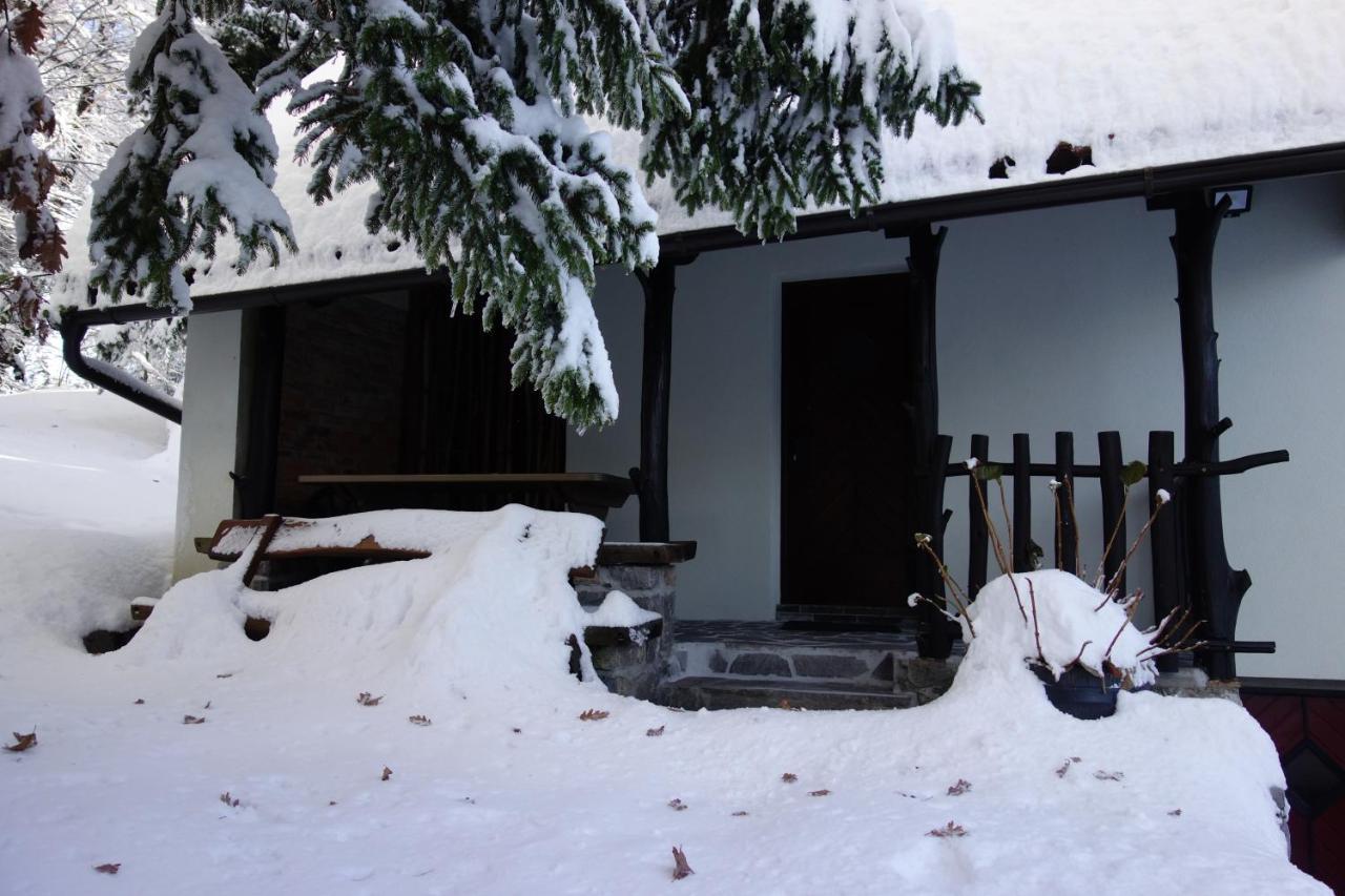 Вілла Forest House Вргніка Екстер'єр фото